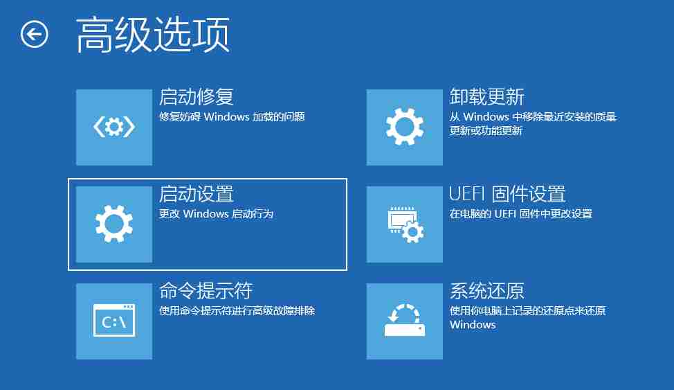 电脑开机后输入密码后进不了桌面