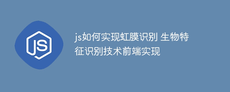 JS如何玩转虹膜识别？前端实现生物特征识别超详细教程