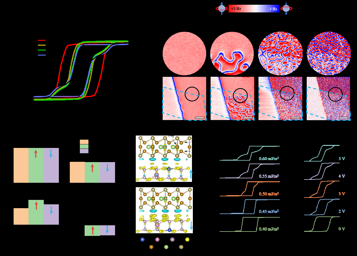 西安交大科研团队在二维范德华多铁异质结研究中取得突破性进展