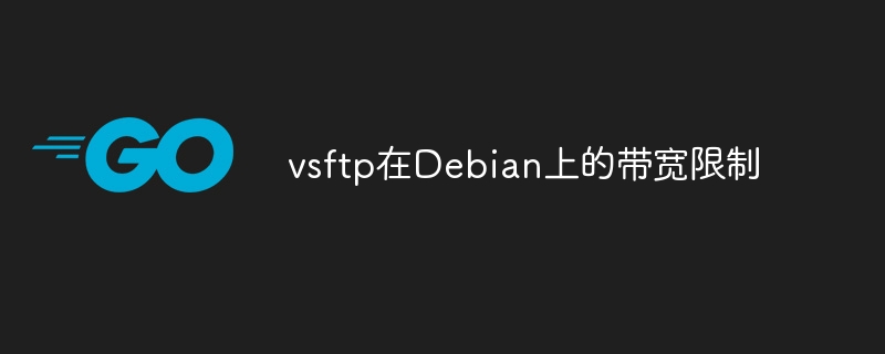 vsftp在Debian上设置带宽限制超简单！