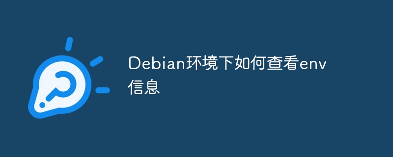 Debian环境下如何查看env信息