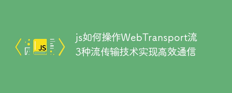 JS手把手教学！WebTransport流传输3大技术轻松实现高效网页通信