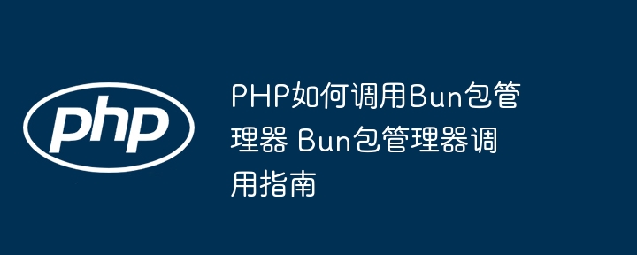 PHP如何调用Bun包管理器 Bun包管理器调用指南