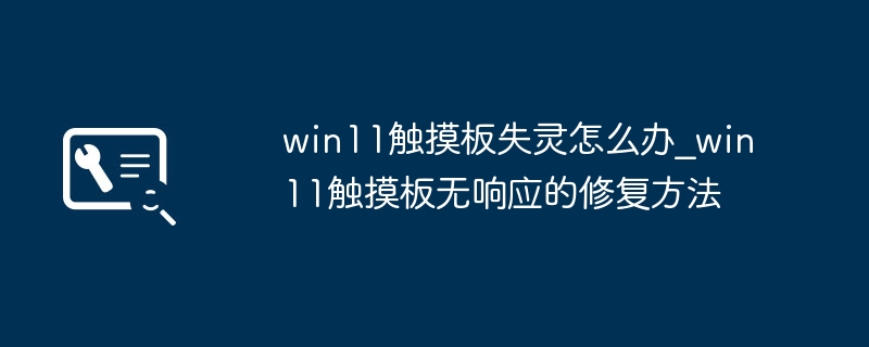 Win11触摸板失灵不用愁，手把手教你快速解决！