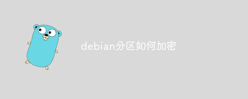debian分区如何加密