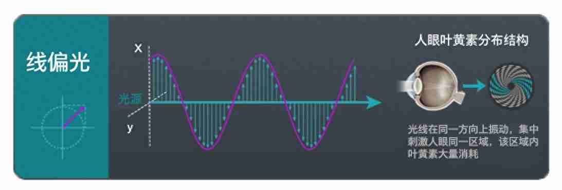 黑科技降临！飞利浦EVNIA舒视蓝4.0圆偏光护眼显示器全球首秀！