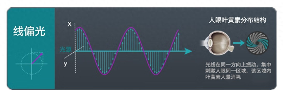 黑科技驾到！飞利浦EVNIA护眼显示器4.0圆偏光技术首发