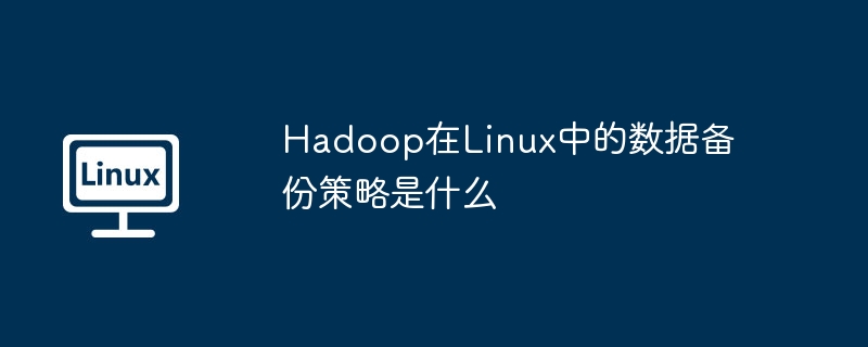 Hadoop在Linux中的数据备份策略是什么