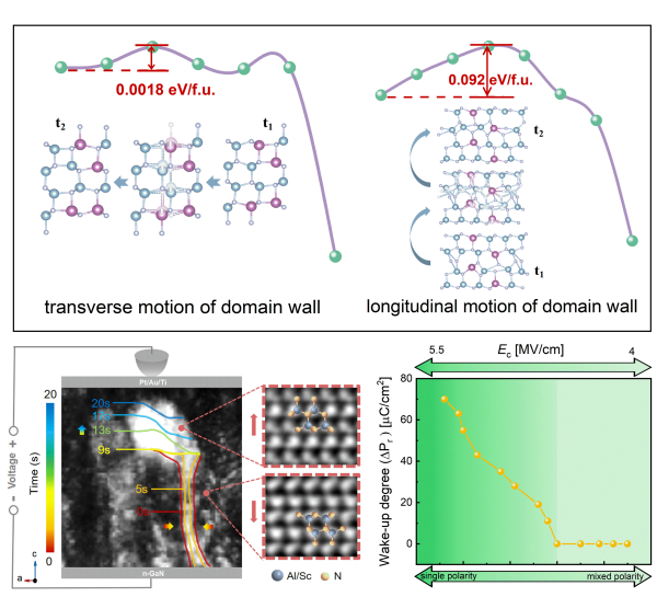纤锌矿铁电体研究取得进展