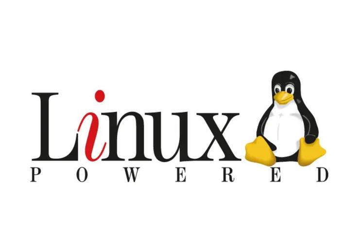 Linux小白也能玩转Docker？超全常用命令分享！