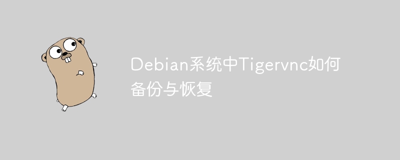 Debian上Tigervnc怎么备份与恢复？保姆级教学来了！
