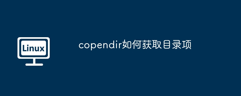 copendir如何获取目录项