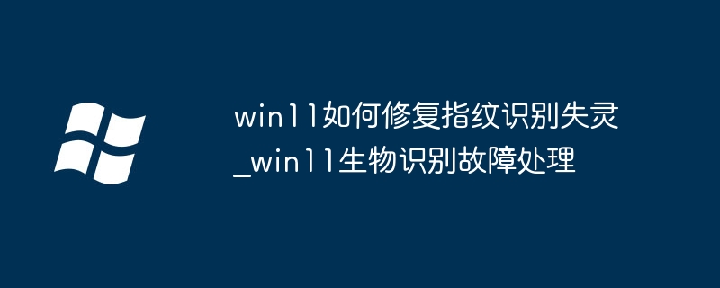 Win11指纹识别故障解决方法