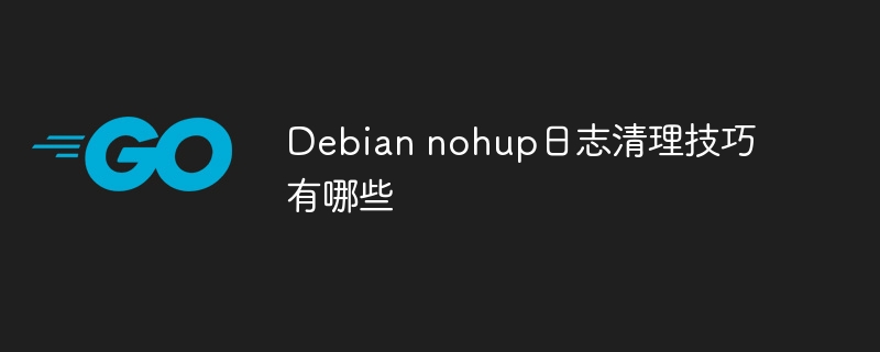 Debiannohup日志清理技巧汇总