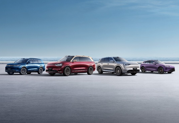 新势力车企毛利率排名：小米第二，第一令人意外