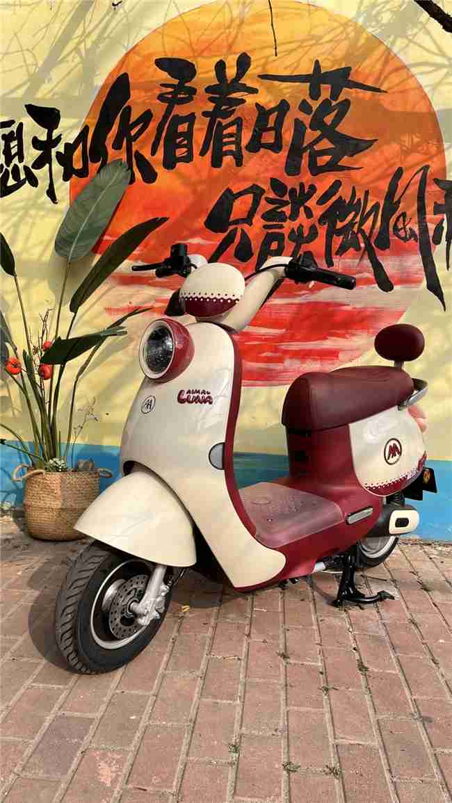 为女生量身打造，九号电动Q3和爱玛露娜Pro哪个好？一文看懂差别