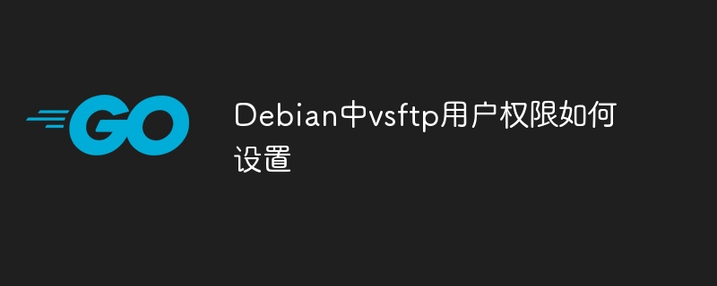 Debian中vsftp用户权限如何设置