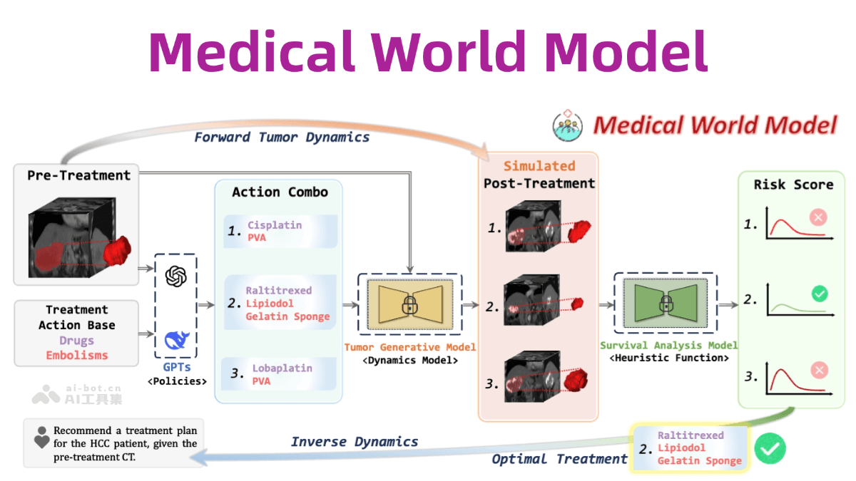 MeWM— AI医学世界模型，精准模拟肿瘤演化
