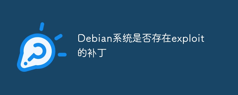 Debian系统是否存在exploit的补丁