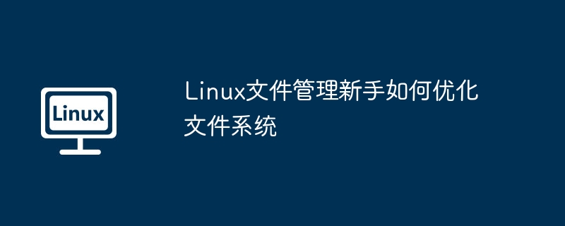 Linux文件管理新手如何优化文件系统