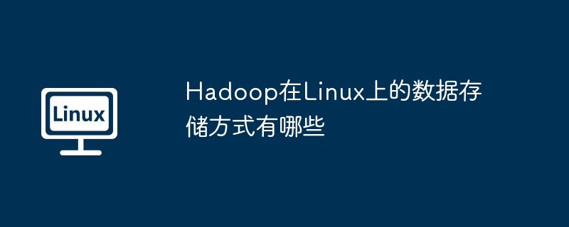 Hadoop在Linux下的存储方式有哪些