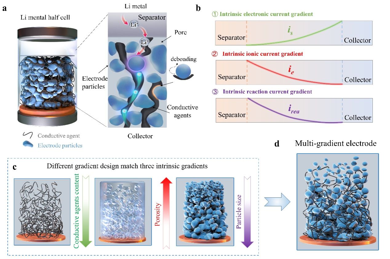 中国科大锂电多梯度设计新方案发布