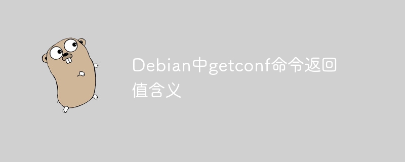 Debiangetconf命令用法及返回值解析