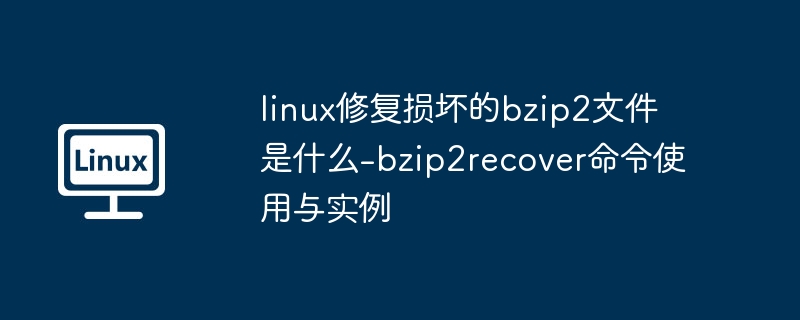 bzip2recover修复命令使用教程