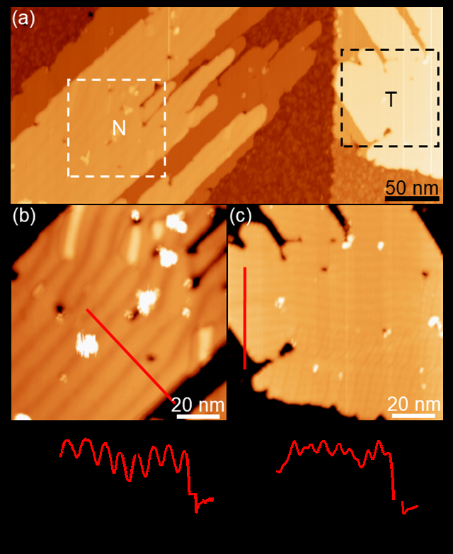 北理工团队在转角双层锑烯研究方面取得重要进展