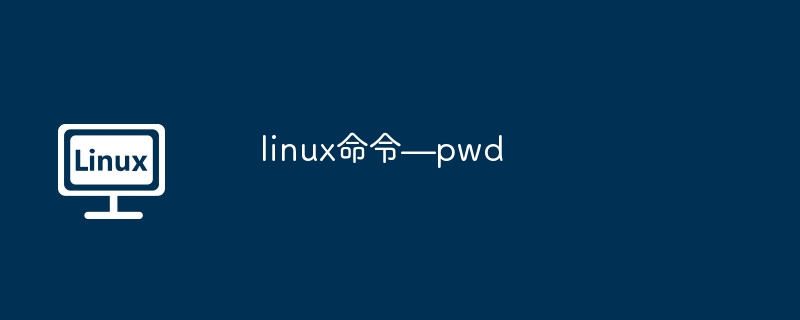 linux命令—pwd
