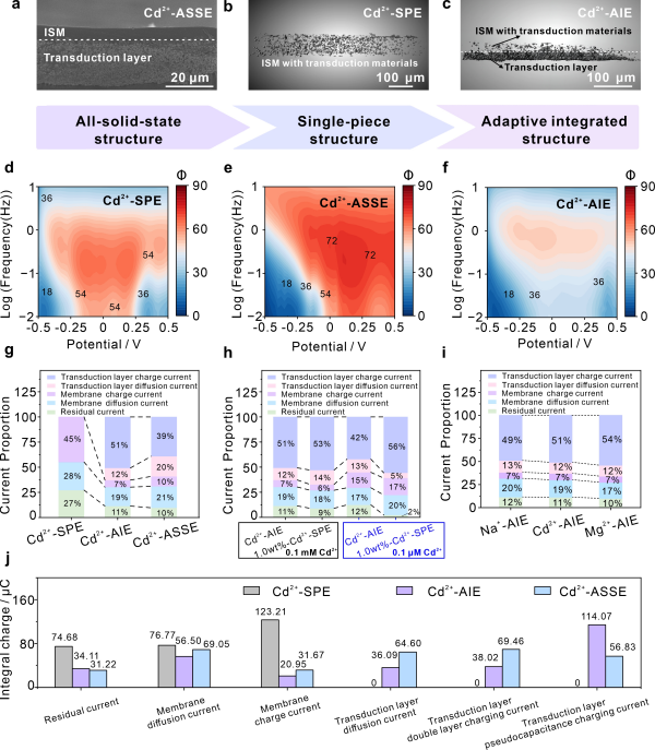 中国科学院提出基于自适应一体式界面的高稳定离子传感新策略