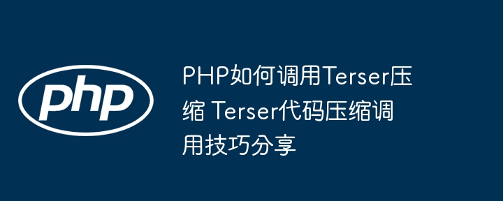 PHP调用Terser压缩代码方法