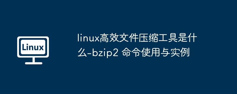Linux下bzip2压缩命令详解与使用