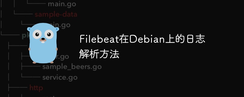 Filebeat在Debian上的日志解析方法