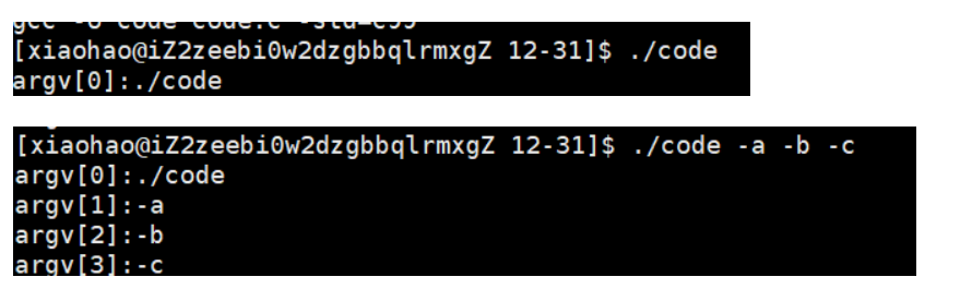 【Linux篇】细品环境变量与地址空间