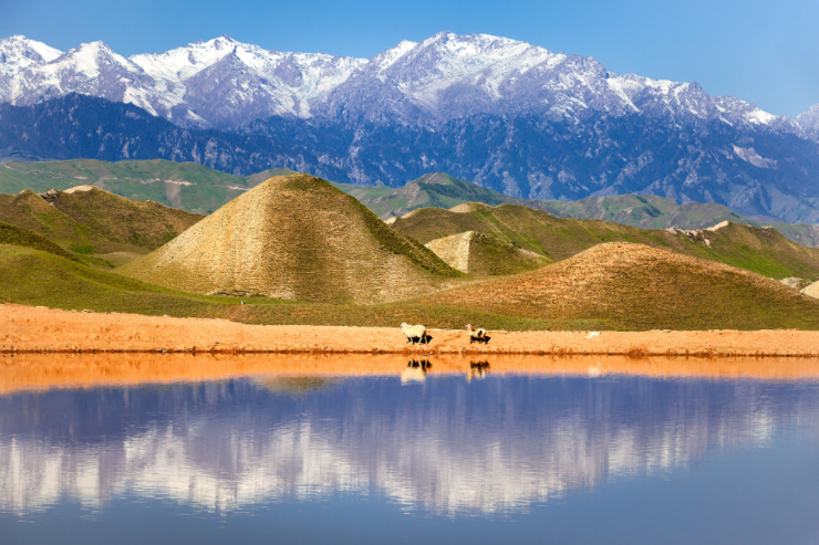 携程“城市C位出道计划第二季”：以石河子为镜 照见C城文旅新解法