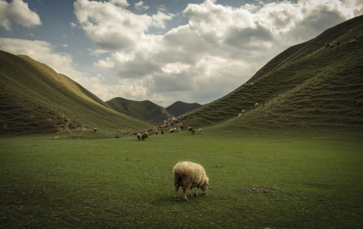 携程“城市C位出道计划第二季”：以石河子为镜 照见C城文旅新解法