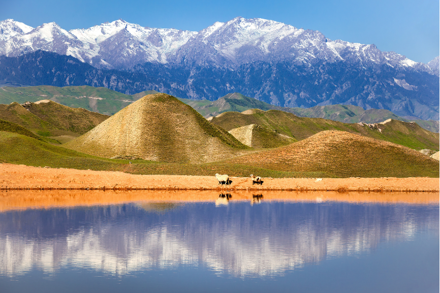 携程C位计划第二季：石河子文旅新玩法解析