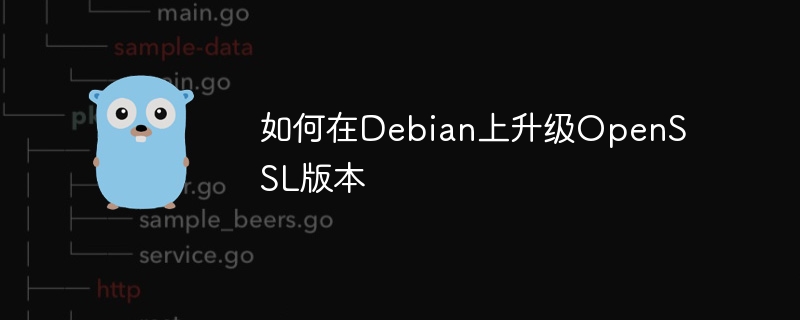 Debian升级OpenSSL教程详解