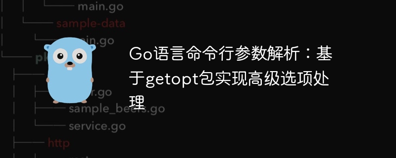 Go语言getopt参数解析技巧分享