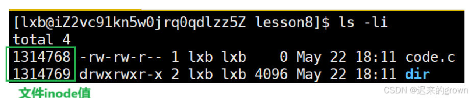 Linux路径与链接机制全解析