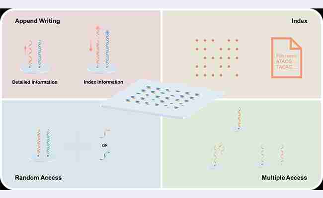 机械系生物制造团队合作构建基于喷墨打印的可多次读写“引物盘”DNA存储系统