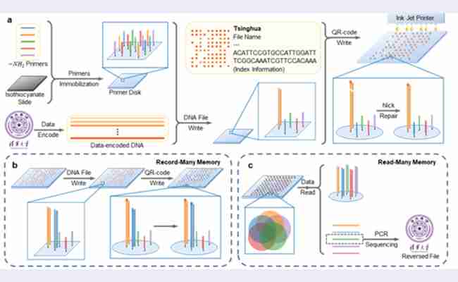 机械系生物制造团队合作构建基于喷墨打印的可多次读写“引物盘”DNA存储系统