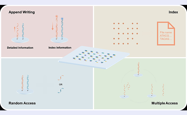 机械系团队研发可重复写入DNA“引物盘”