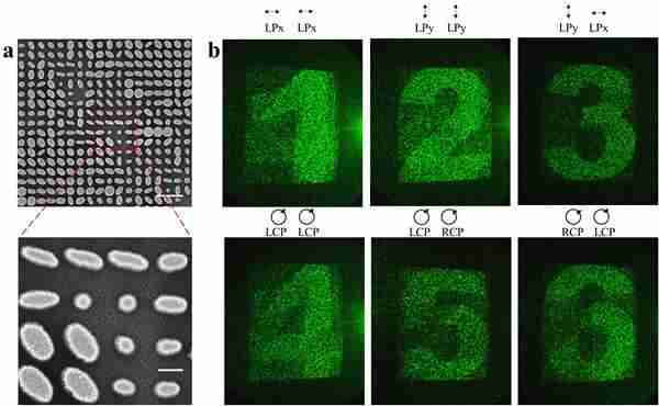 中国科学院:利用单层单原子超表面实现双琼斯矩阵六独立相位通道调制全息显示