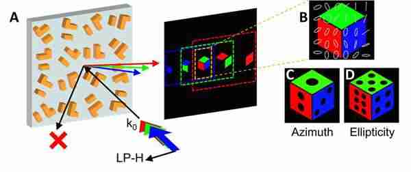 中国科学院:利用单层单原子超表面实现双琼斯矩阵六独立相位通道调制全息显示