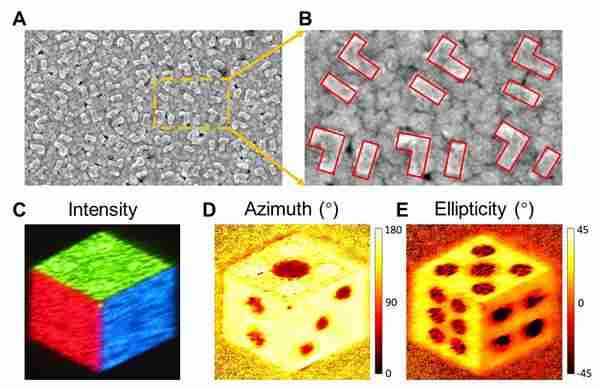 中国科学院:利用单层单原子超表面实现双琼斯矩阵六独立相位通道调制全息显示