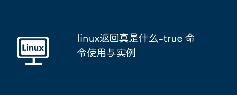 linux返回真是什么-true 命令使用与实例