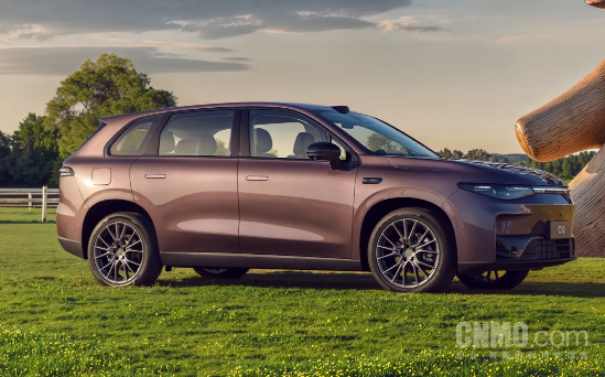 2025年上半年新势力累计销量：零跑、理想、小鹏前三