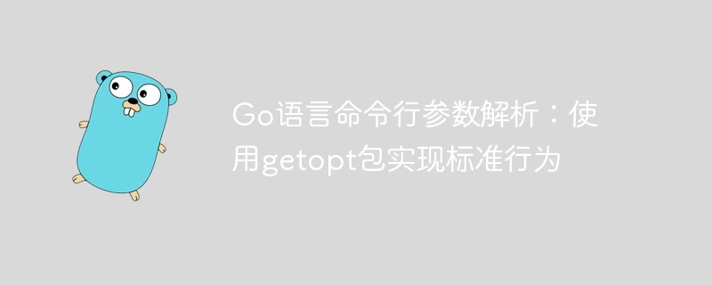 Go语言命令行参数解析：使用getopt包实现标准行为